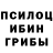 Псилоцибиновые грибы GOLDEN TEACHER fogeechYT