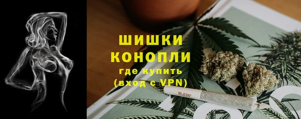 дживик Бородино