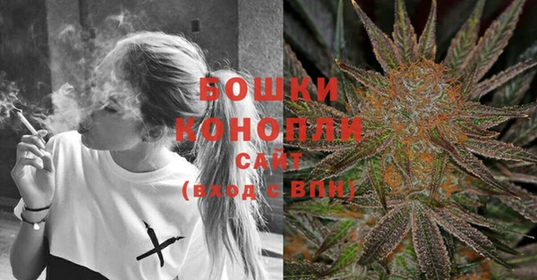 спайс Богданович