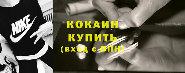 спайс Богданович