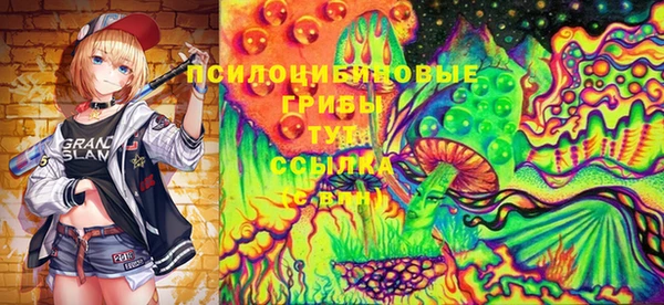 твердый Покров
