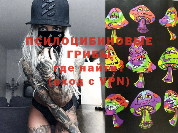 спайс Богданович