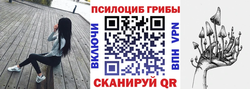 хочу   Кирово-Чепецк  Галлюциногенные грибы Psilocybe 